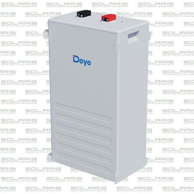 BAT-DEYE-LI-314-SE-V1