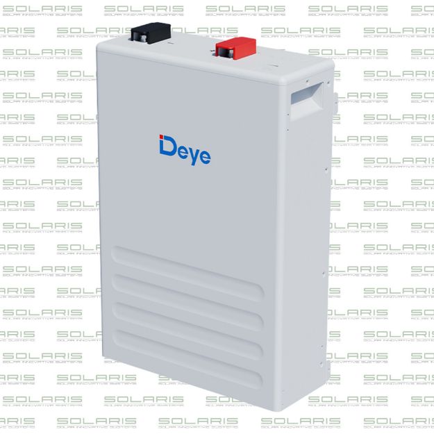 BAT-DEYE-LI-100-PL